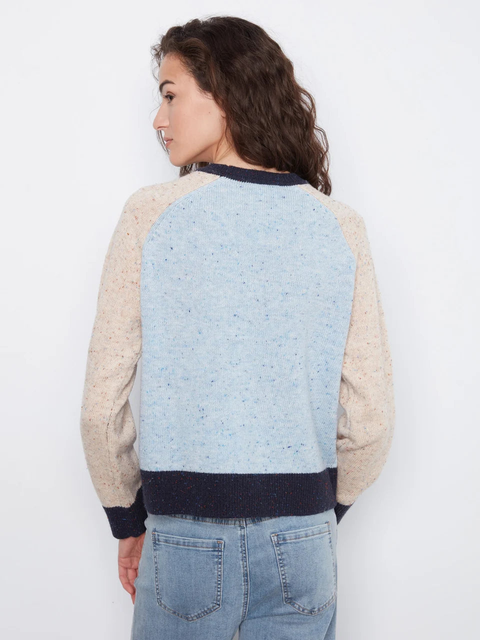 Speckled Color Block Sweater