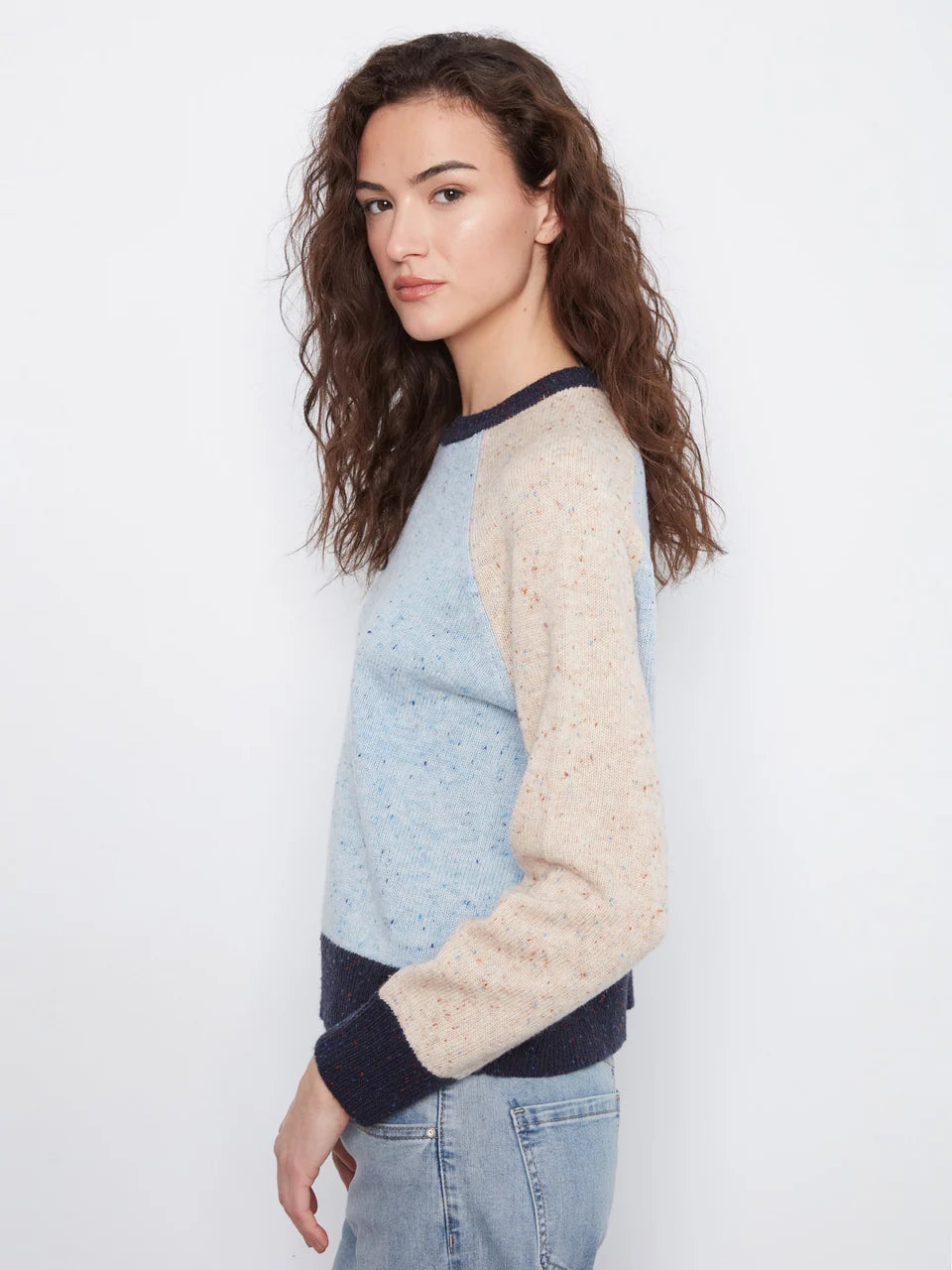 Speckled Color Block Sweater