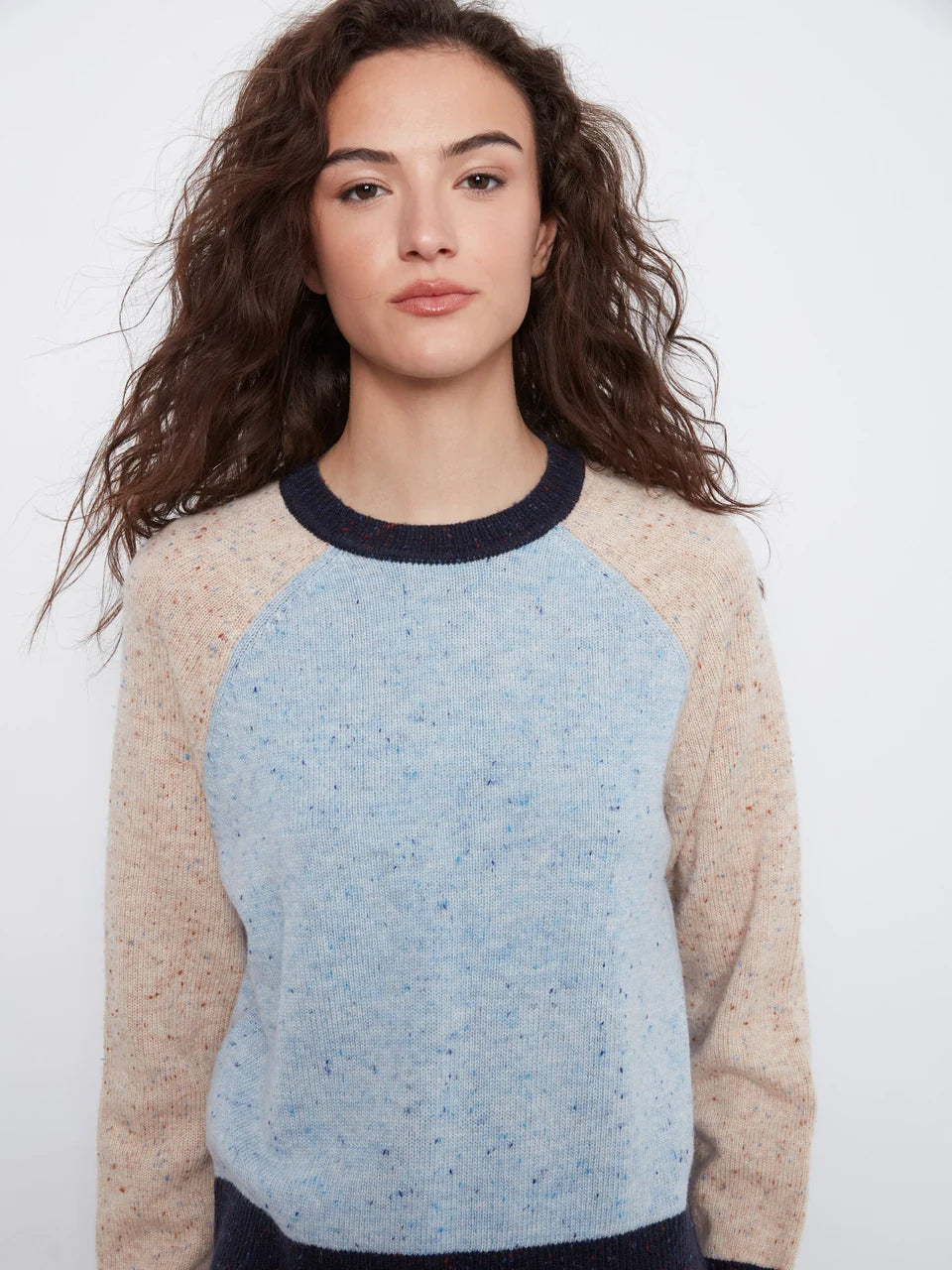 Speckled Color Block Sweater