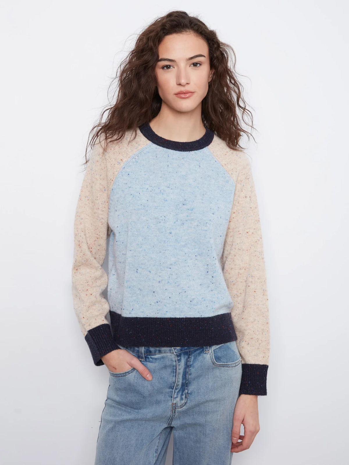 Speckled Color Block Sweater
