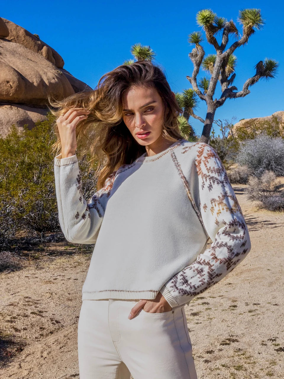 Aztec Reversible Raglan Sweater