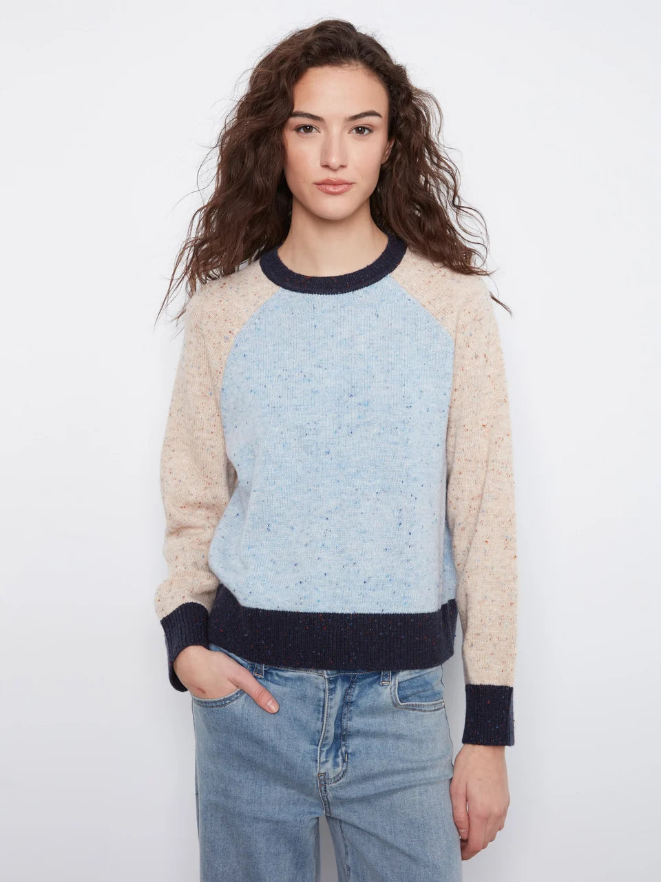 Speckled Color Block Sweater